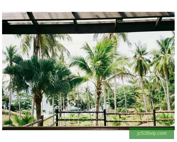 胶片时光中的周末瞬间 Ajas捕捉的比赛精彩瞬间集锦